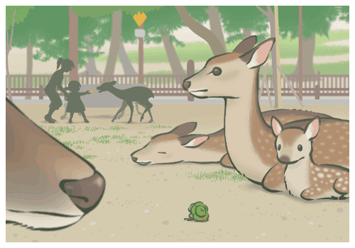 ˹ݻ
