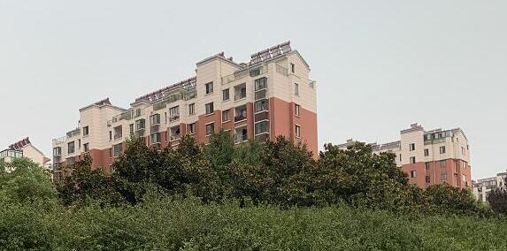 С,´¥