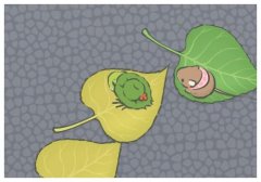 ׽Ϊʲôڸô,ڸ׽ڵף