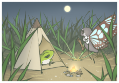 ºջӦ¹ֱ,¹ҹֱŭڷ¼